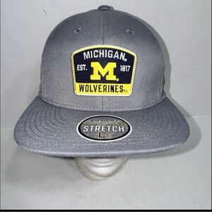 Zephyr Stretch Michigan Wolverines 2023 Champions Gray Size Large Baseball Hat